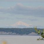 Mount Denali from Earthquake park overlook.