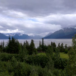 View from Bird Point