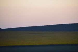 The wide shot of the field