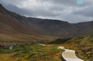 GrosMorne2_008