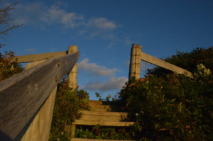 The stairs to the beach.