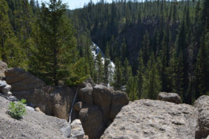 YellowstoneTour_019