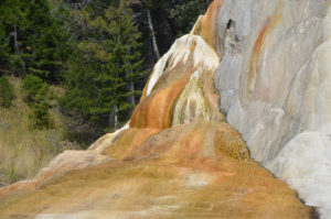 YellowstoneTour_030