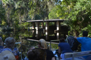 Homosassa_012