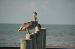 KeyWestFL_005