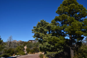 From Parking lot, trail to exhibit building