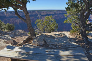 Strategically placed benches provide opportunities to soak in the sights.