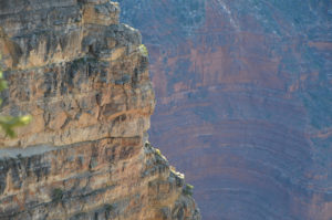 Look closely for the plants making their home on this rock face.